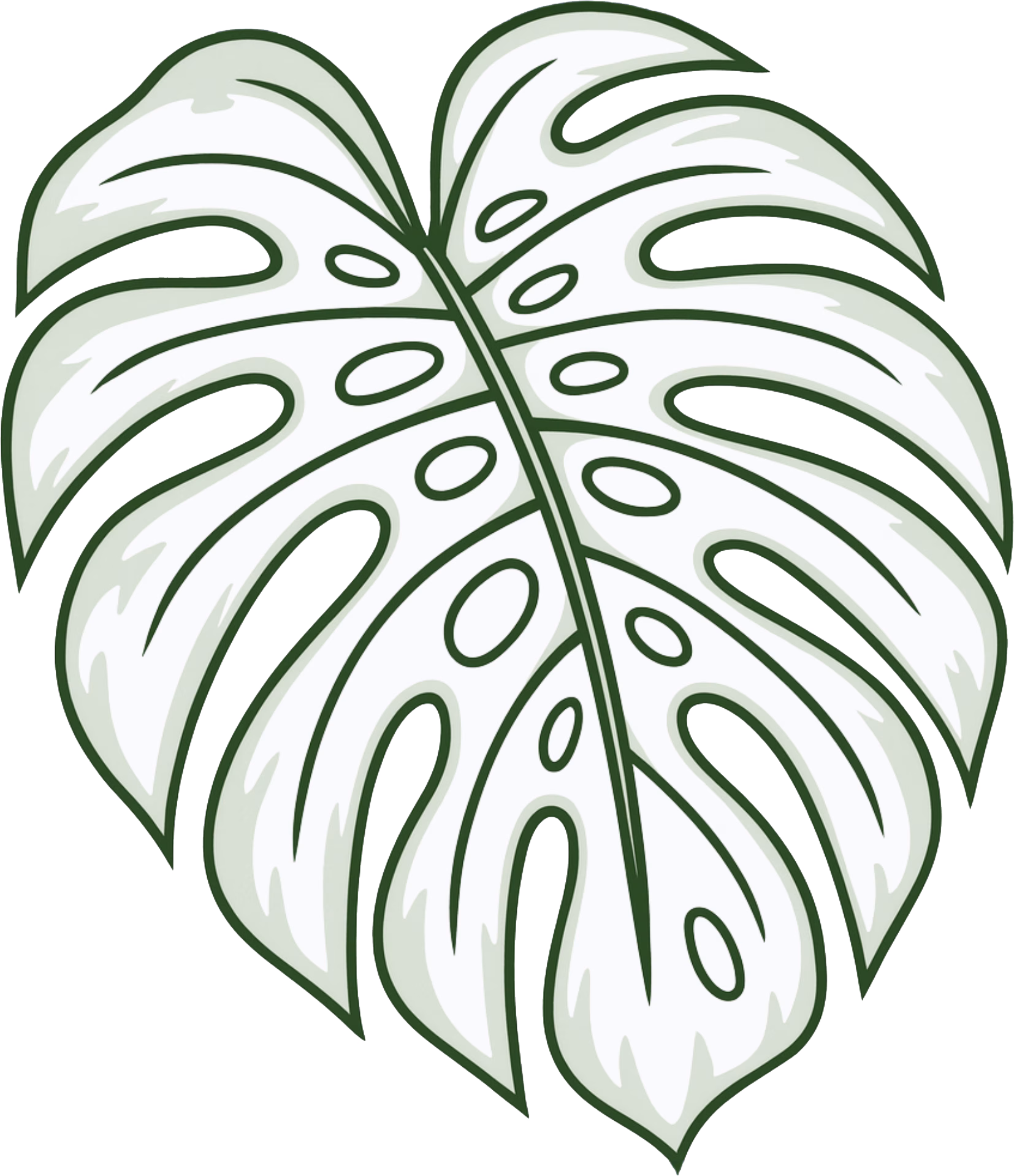 Illustration of a large tropical monstera leaf with white and light green tones, featuring cut-out holes and detailed vein outlines